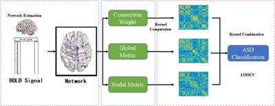 The Altered Pattern of the Functional Connectome Related to Pathological Biomarkers in Individuals for Autism Spectrum Disorder Identification